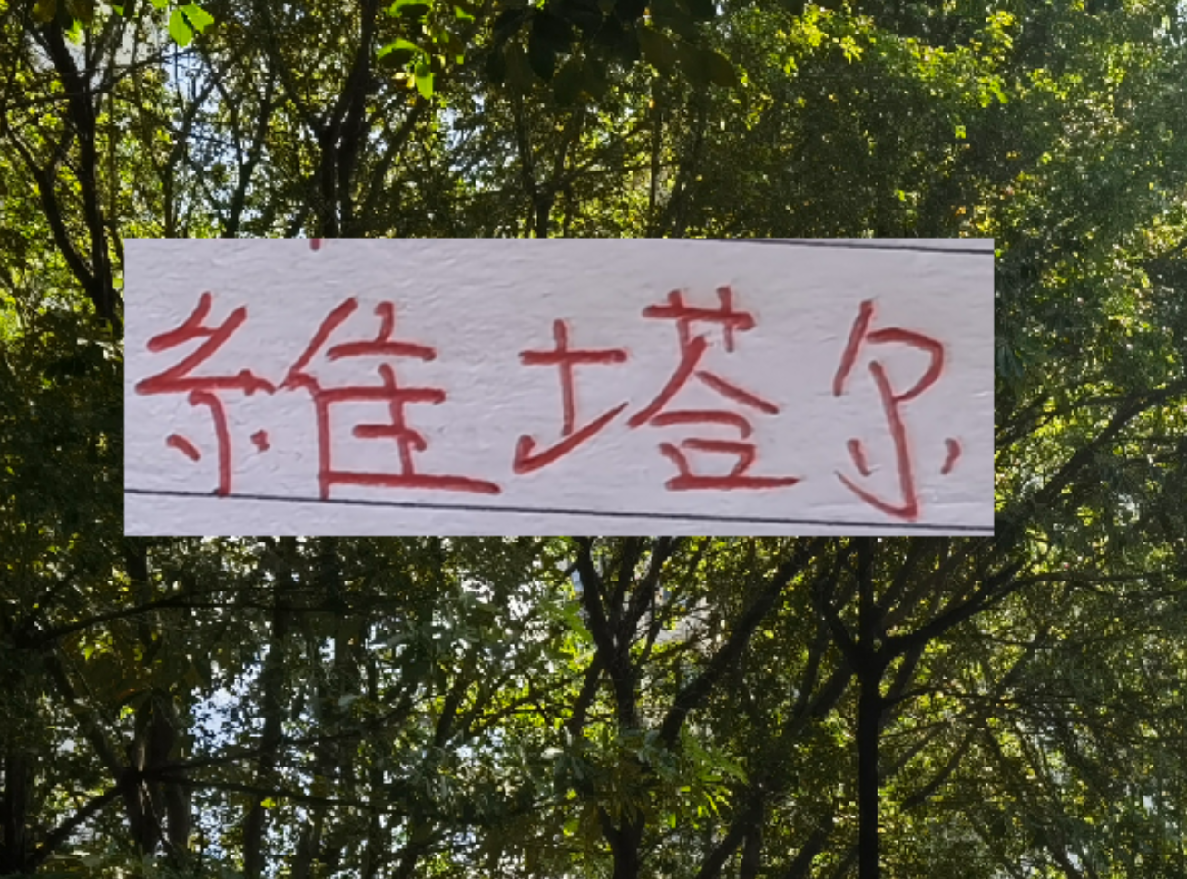 优直播官网-上个赛季中超前4的十号 就海港10号维塔尔助攻最多 出场也最多