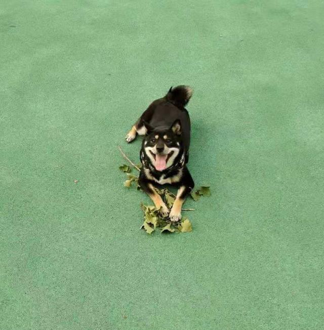 1625528479539094315.jpg 微信图片_20210705235004_副本.jpg